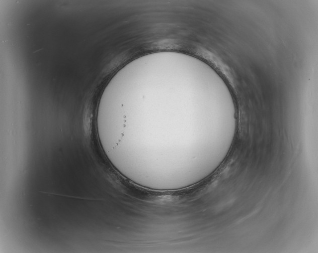 X0000101690153200807311419