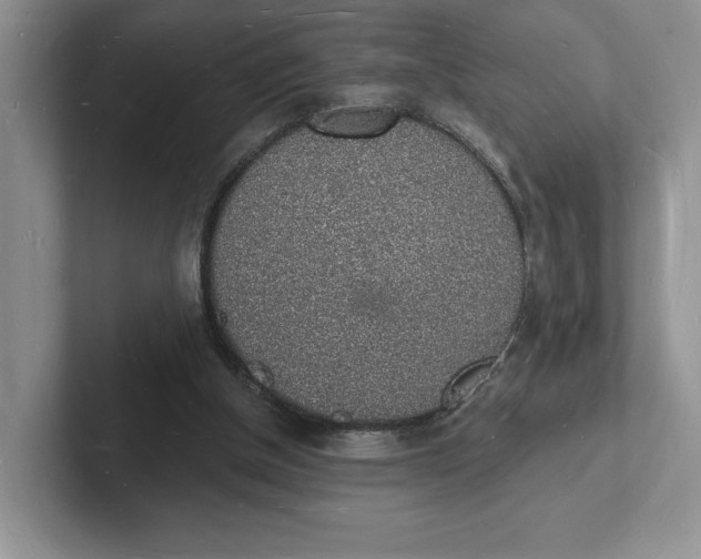 X0000101690154200807311419