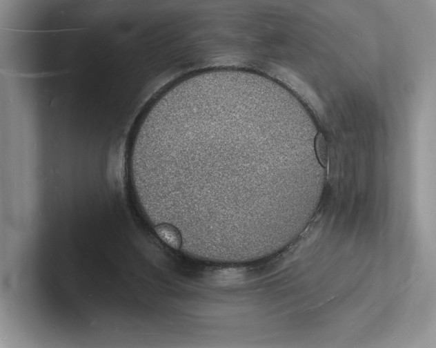 X0000101690156200807311419