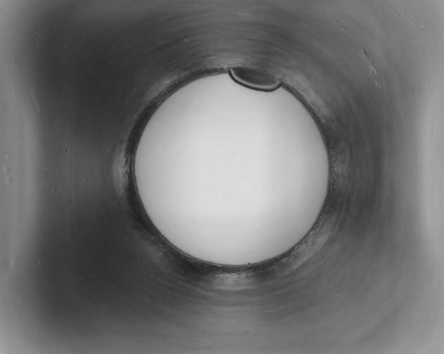 X0000101690160200807311419