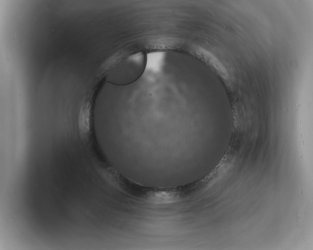 X0000101690163200807311419