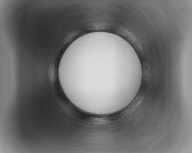 X0000101690164200807311419