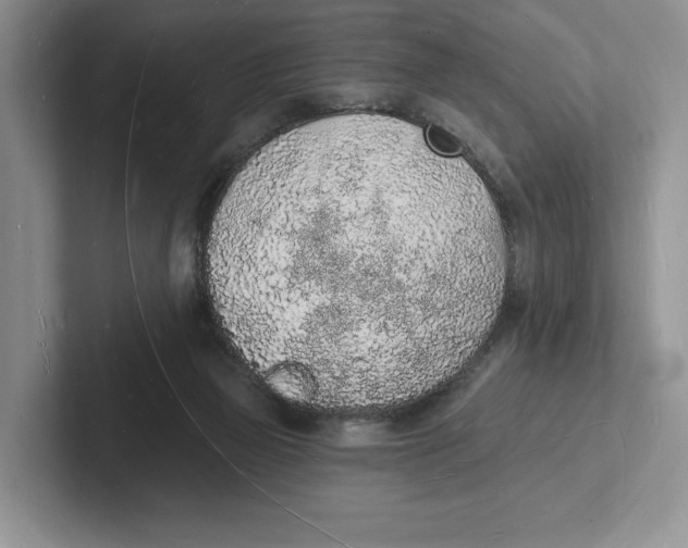 X0000101690165200807311419