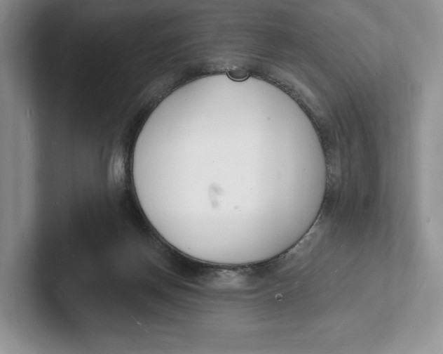 X0000101690166200807311419