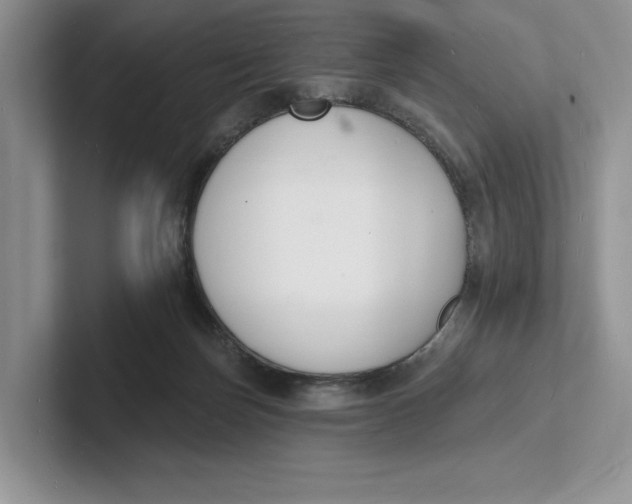 X0000101690171200807311419