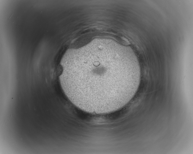 X0000101690177200807311419