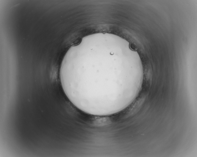 X0000101690185200807311419