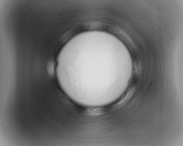 X0000101690189200807311419