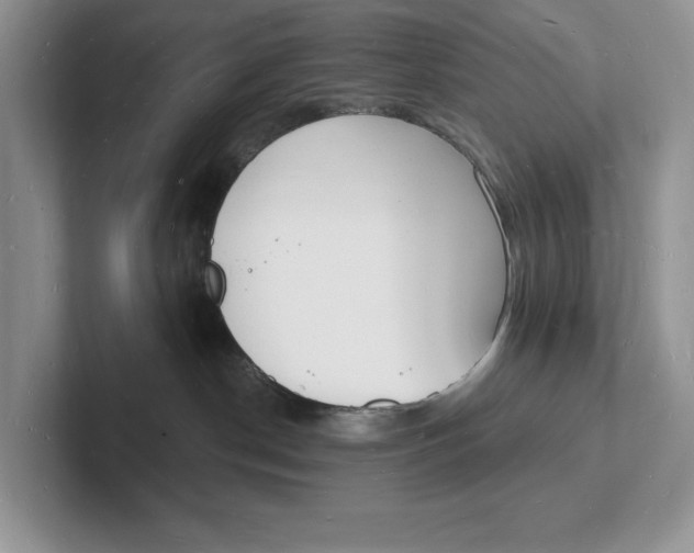 X0000101690190200807311419