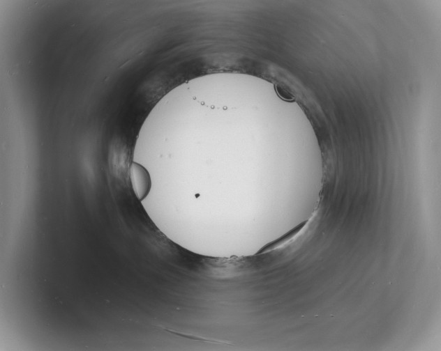 X0000101690191200807311419