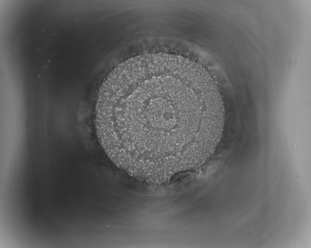 X0000101690192200807311419