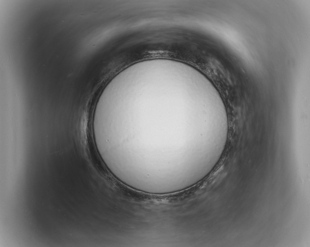 X0000101690194200807311419