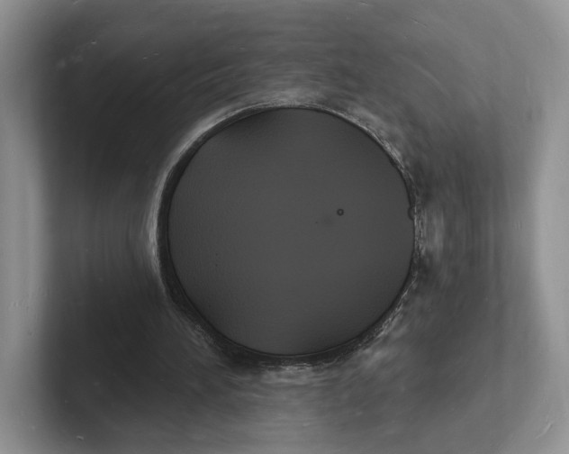 X0000101690196200807311418