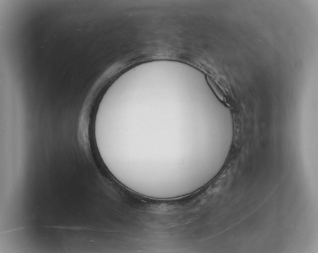 X0000101690197200807311418