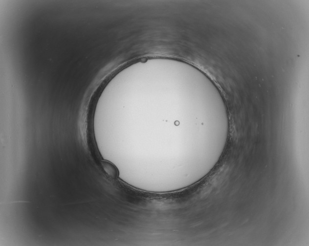 X0000101690199200807311418