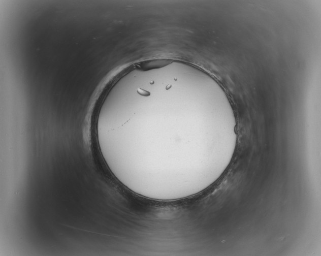 X0000101690200200807311418