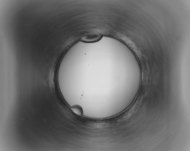 X0000101690201200807311418