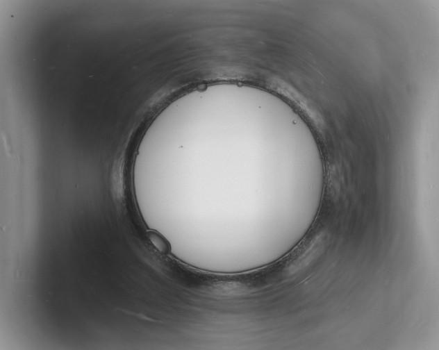 X0000101690203200807311418