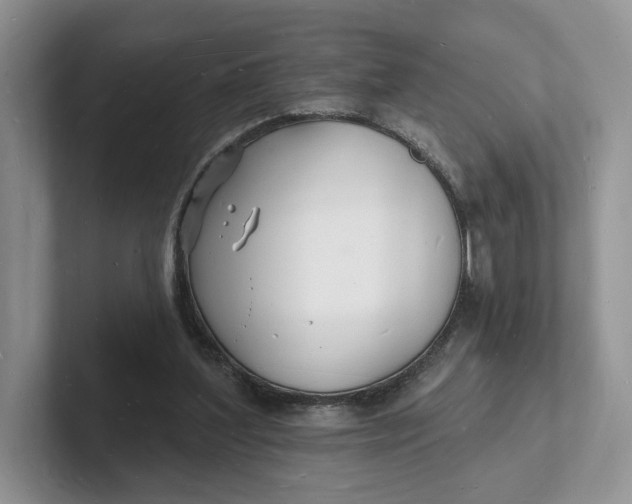 X0000101690204200807311418