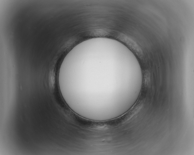 X0000101690206200807311418