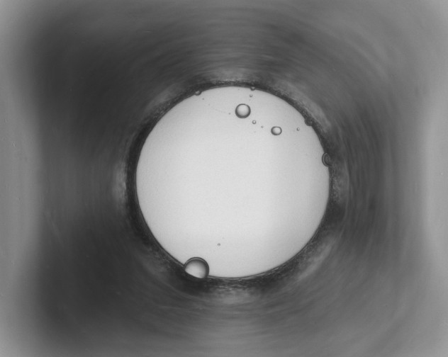 X0000101690207200807311418