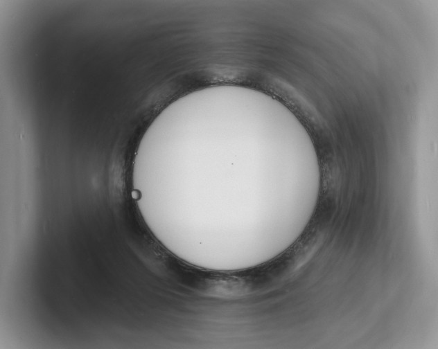 X0000101690215200807311418