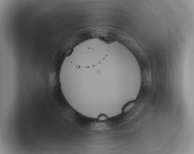 X0000101690224200807311418