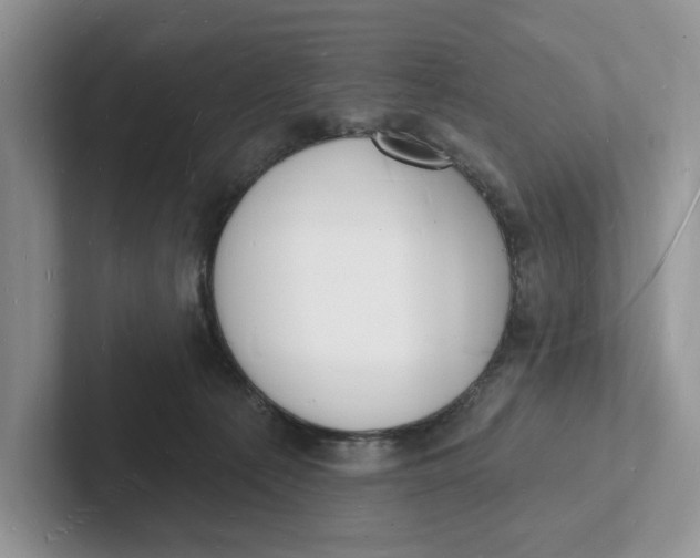 X0000101690225200807311418