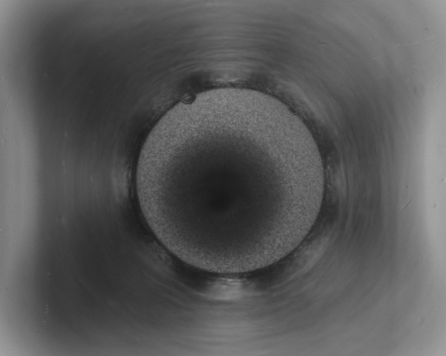 X0000101690227200807311418