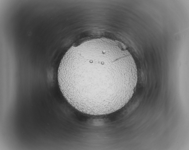 X0000101690228200807311418