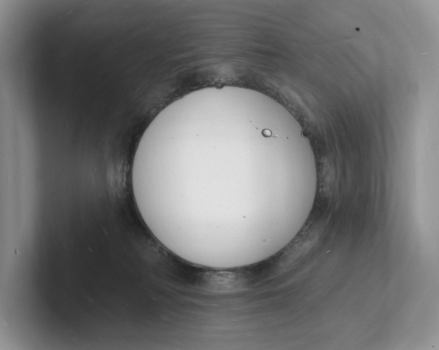 X0000101690230200807311418