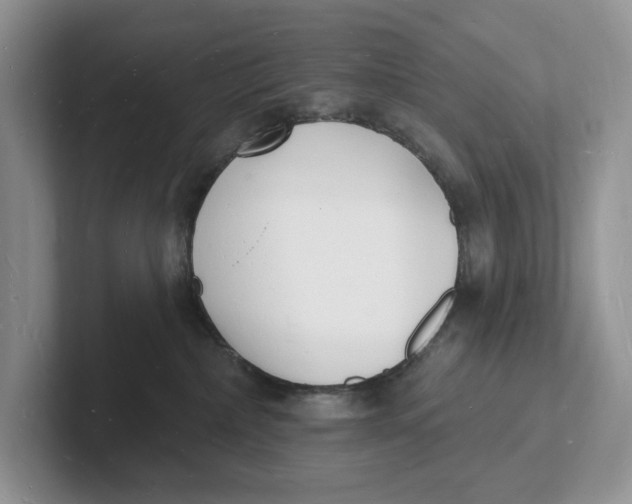 X0000101690236200807311418