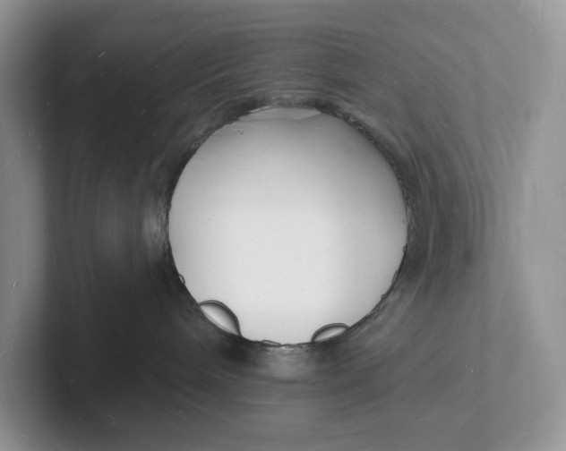 X0000101690240200807311418