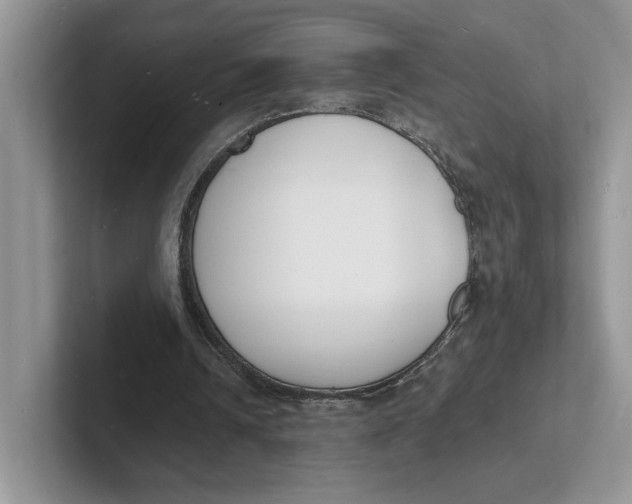 X0000101690242200807311417