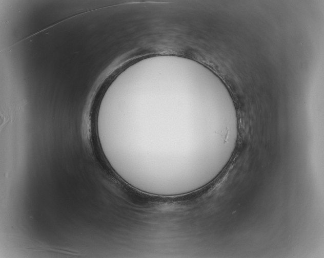 X0000101690246200807311417