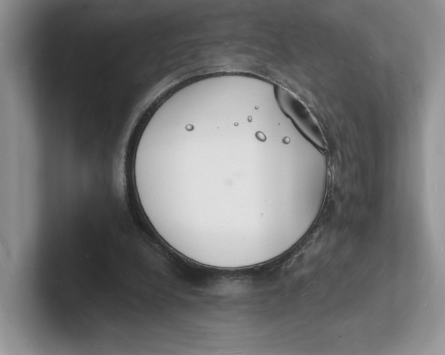 X0000101690248200807311417