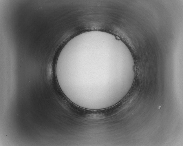 X0000101690251200807311417