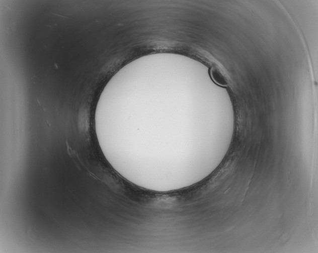 X0000101690257200807311417