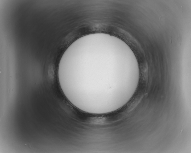 X0000101690266200807311418