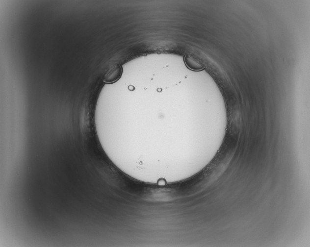 X0000101690268200807311418