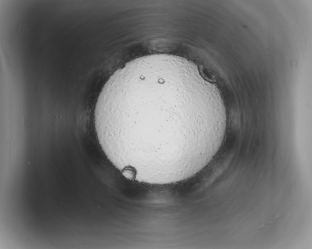 X0000101690271200807311418