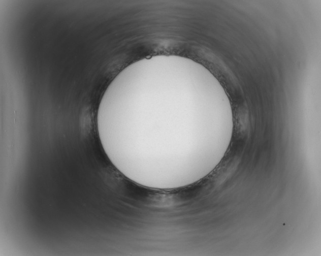 X0000101690276200807311418