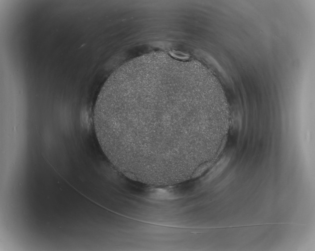 X0000101690285200807311418