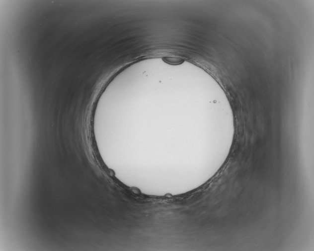 X0000101690289200807311417