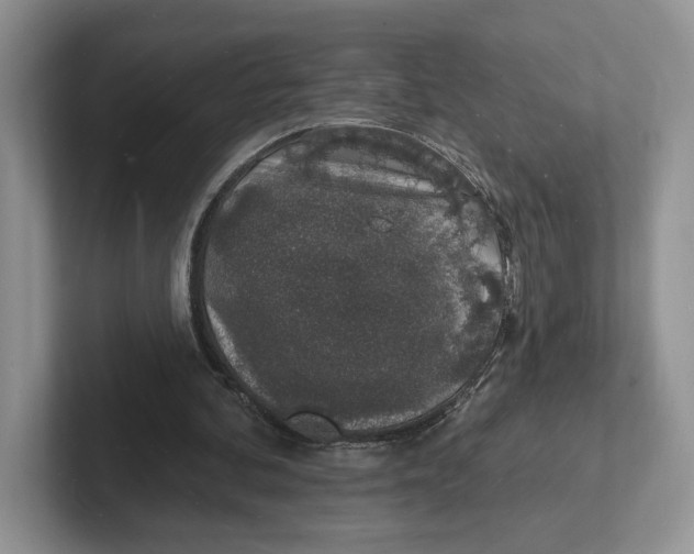 X0000101690292200807311417