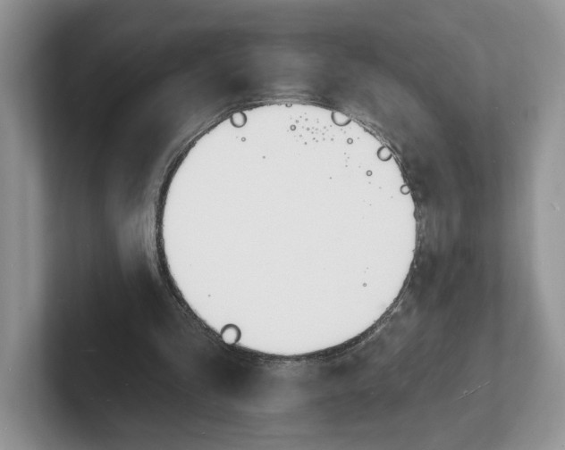 X0000101690293200807311417