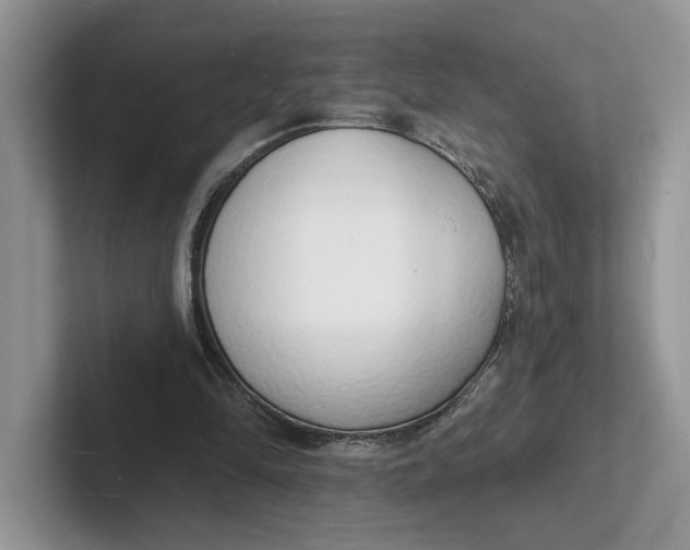 X0000101690294200807311417