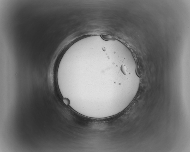 X0000101690296200807311417