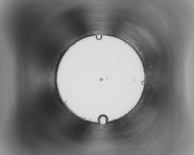 X0000101690297200807311417