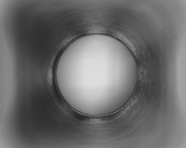 X0000101690298200807311417